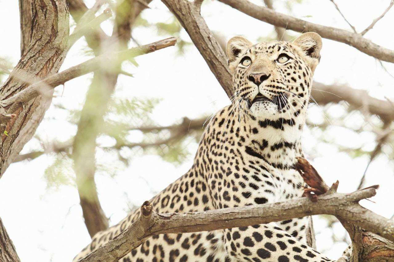 Vuyani River Lodge Hoedspruit Ngoại thất bức ảnh